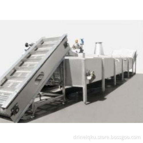 Continuous Pre-Boiling Machine Fruit And Vegetable Blacher
